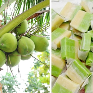 keo-dua-ben-tre-va-nhung-chuyen-ke-thu-vi