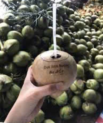 ALBUM DỪA XIÊM NƯỚNG