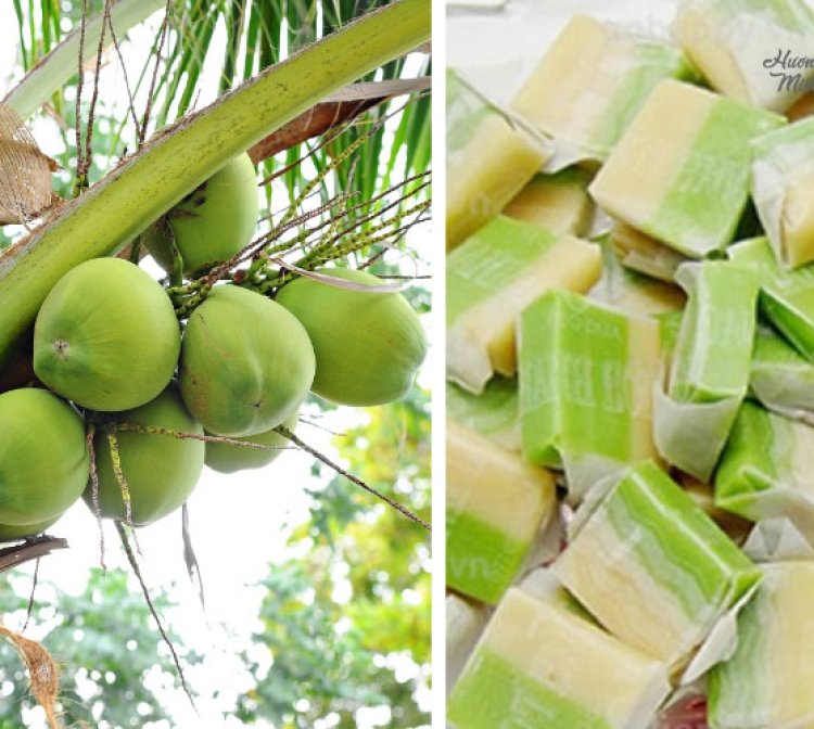 Kẹo dừa Bến Tre và những chuyện kể thú vị